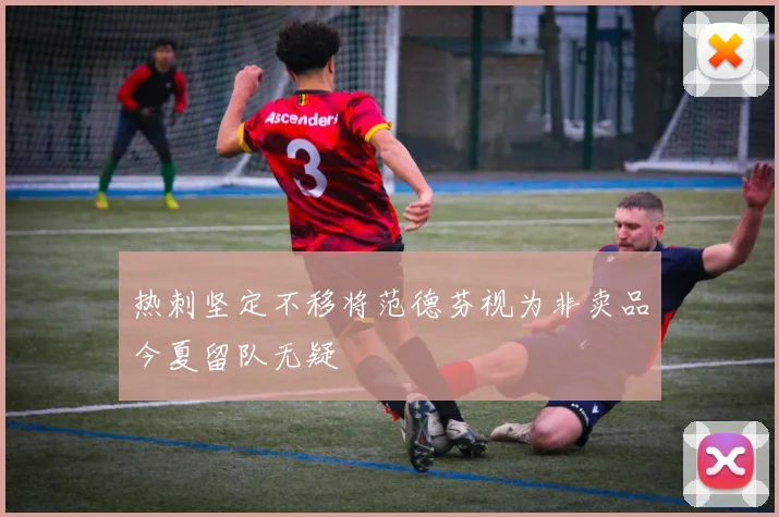热刺坚定不移将范德芬视为非卖品今夏留队无疑